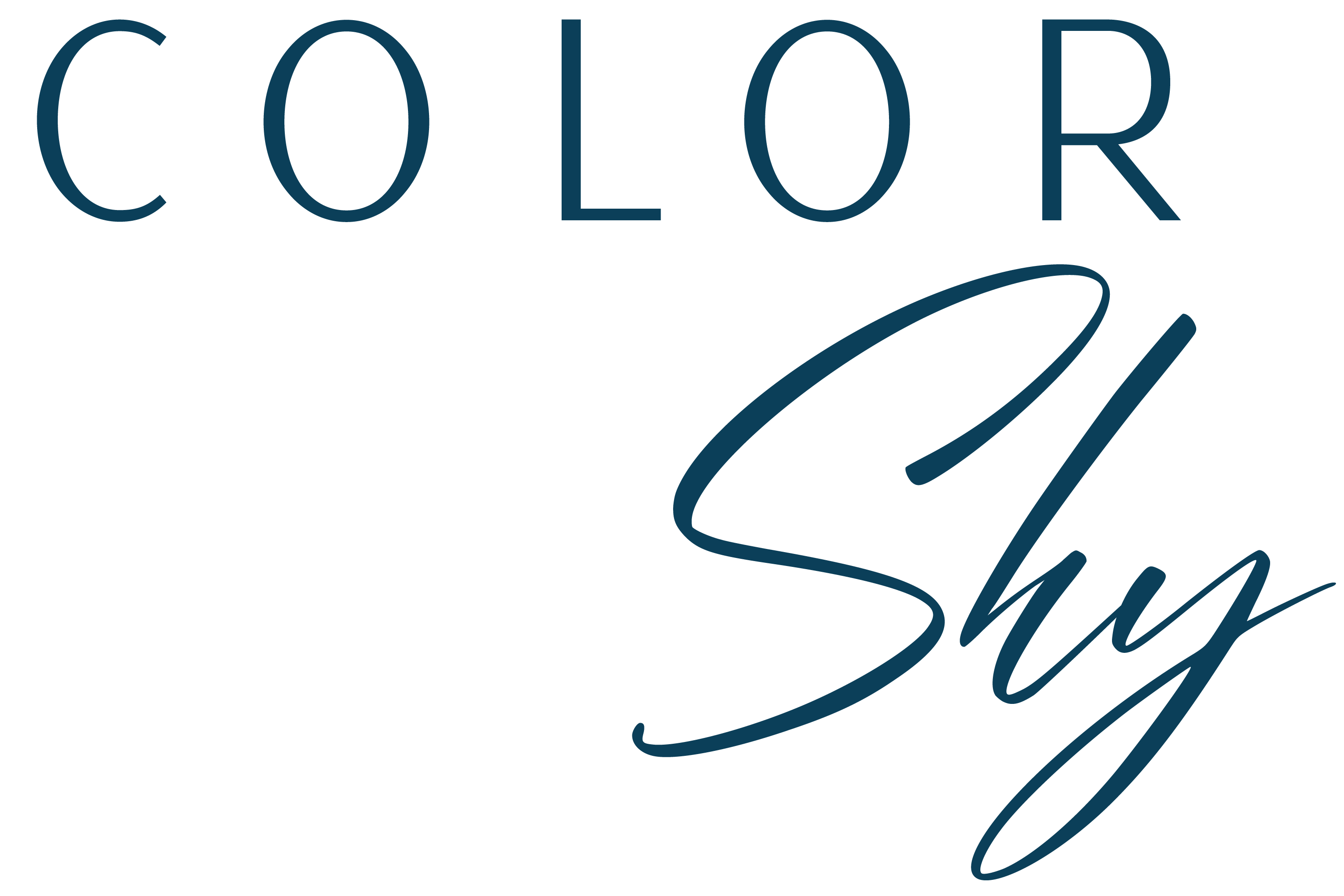 Color Shy Consulting